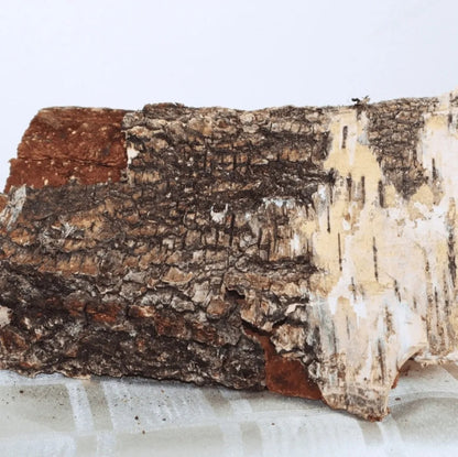 Birken-Brennholz 25 cm – 4 Big Bags (1,0 SRM) kammergetrockne