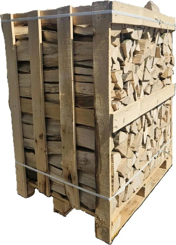 Buchenbrennholz Premium 25 cm – 2 RM kammergetrocknet